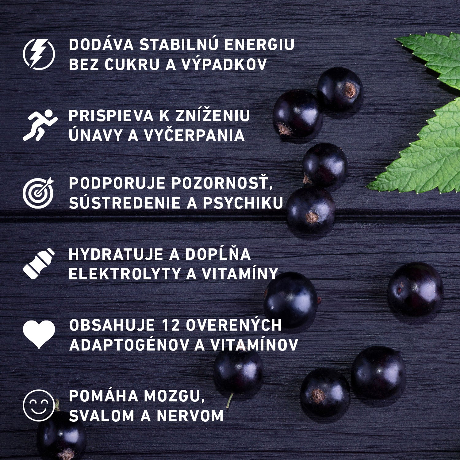 HYDRATION + ENERGY - Čierna ríbezľa