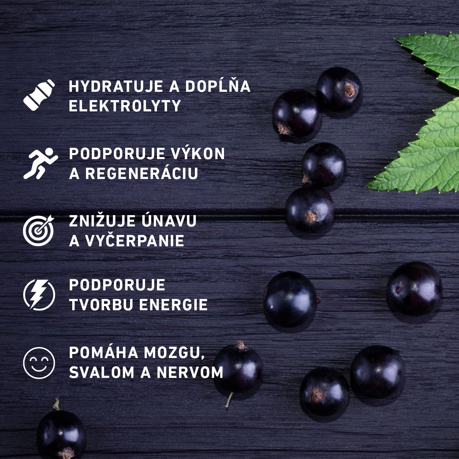 HYDRATION - Čierna ríbezľa